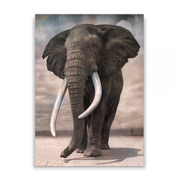 Репродукция Жизнь животных 48x67 см 