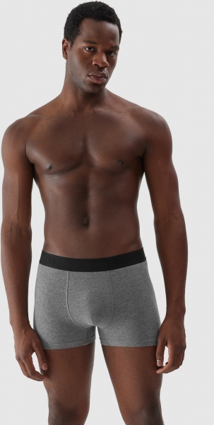 Труси 4F BOXER SHORTS M027 (2PACK) 4FAW23UBXSM027-90M р.M сірий