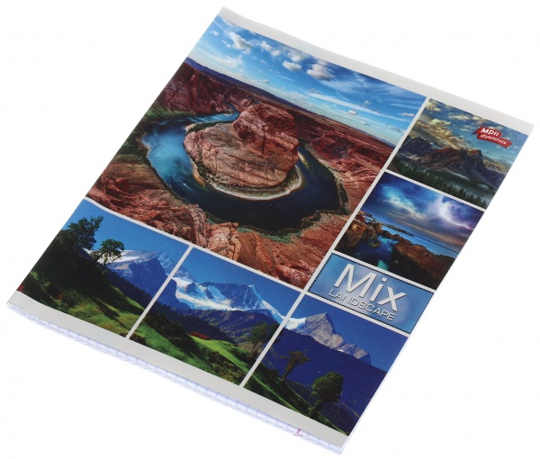 Тетрадь школьная серебро 4 листов в клеточку в ассортименте Мечты сбываются