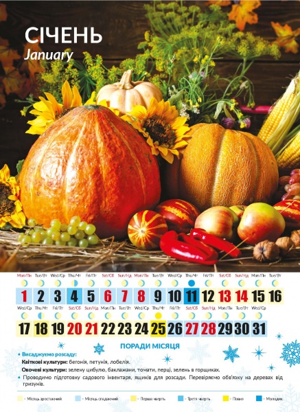 Календарь настенный «Світовид міні Місячний календар садівника» 2024
