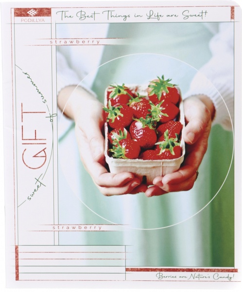 Зошит шкільний уф-лак 48 аркушів у лінійку в асортименті Мрії збуваються