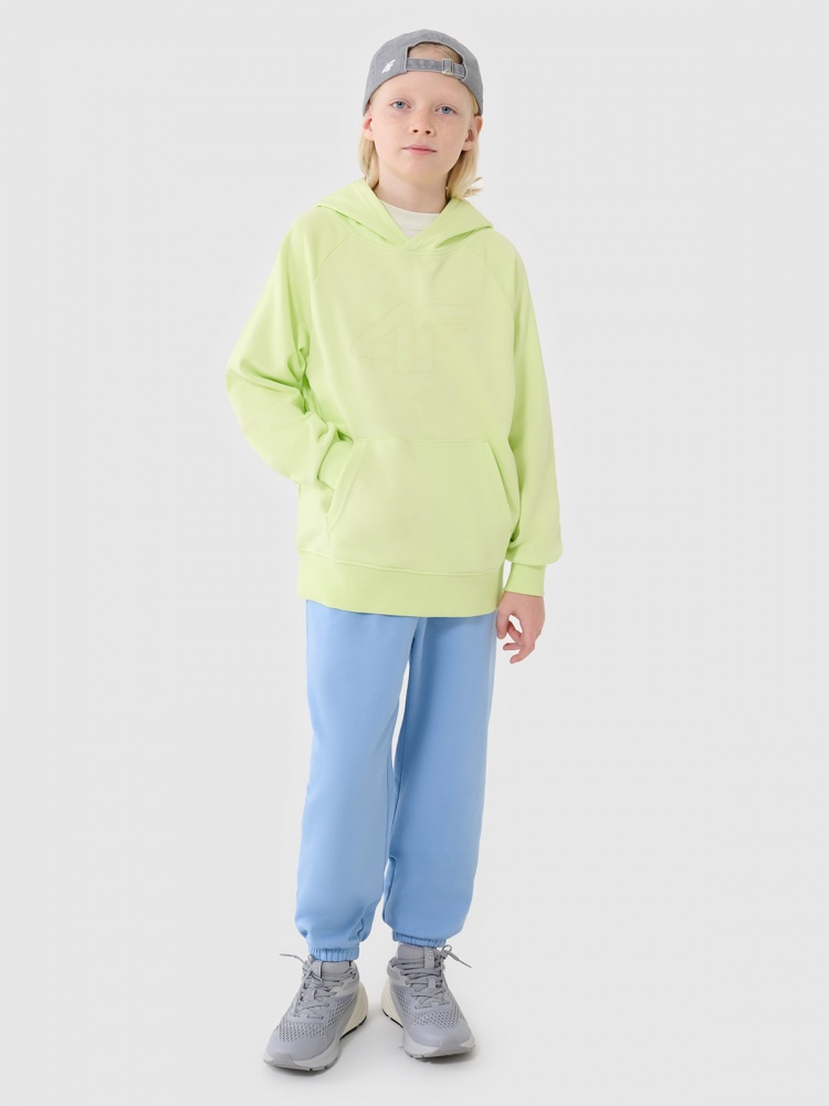 Джемпер 4F SWEATSHIRT M1712 4FJWSS25TSWSM1712-45N р.152 салатовый