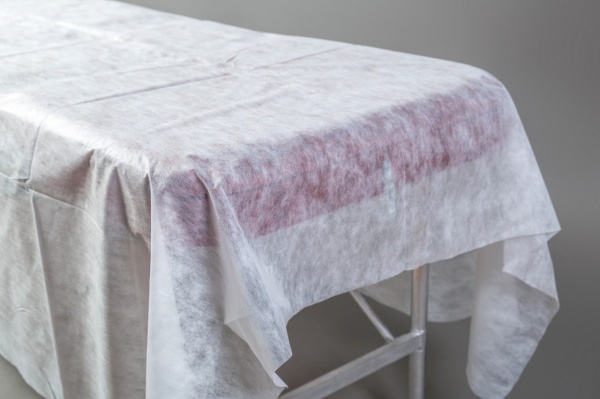 Простынь одноразовая 0,6x2 м 10 шт. белый CHila