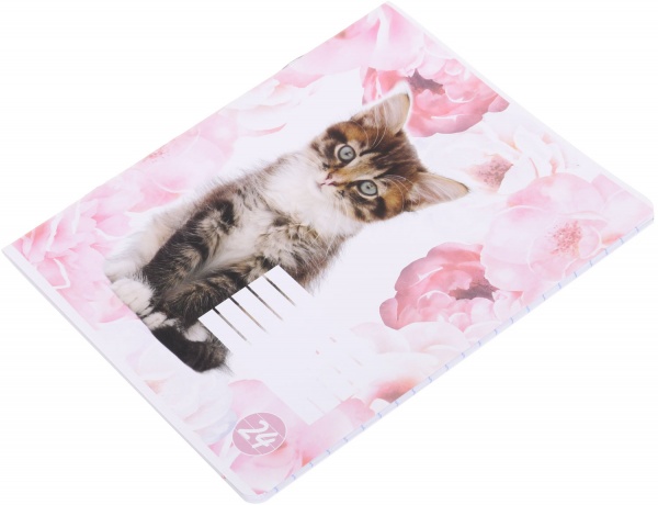 Тетрадь школьная cat 24 листа в линию