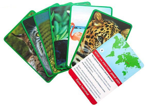 Гра настільна Strateg Тварини дикого світу