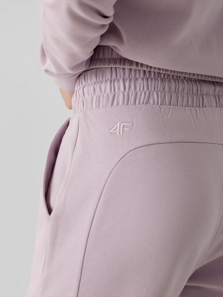 Брюки 4F D4Z21-SPDD213-52S р. XL сиреневый