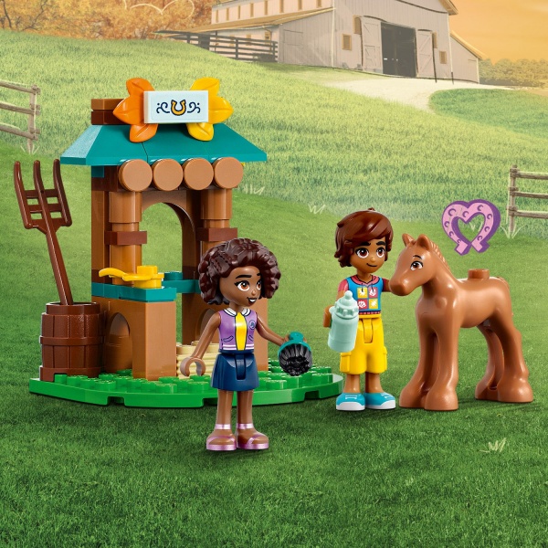 Конструктор LEGO Friends Будиночок Отом 41730