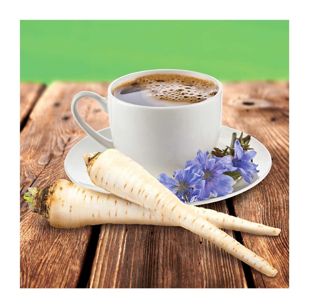 Насіння Професійне насіння цикорій Кавовий 1г (4820176690241)