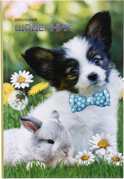 Щоденник 741 7БЦ матова ламінація 165х240 мм 40 аркушів Mandarin