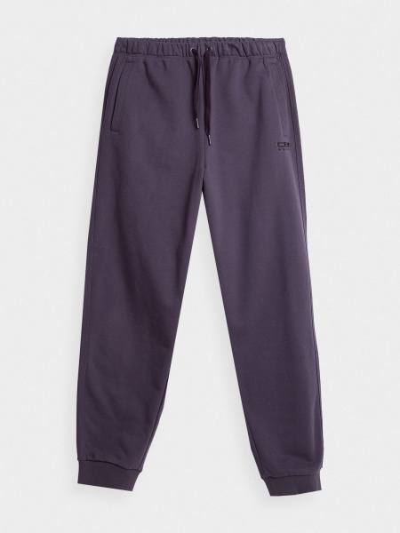 Штани 4F TROUSERS CAS M466 4FAW23TTROM466-60S р. L фіолетовий