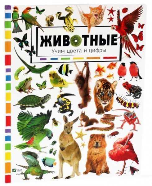 Книга «Животные. Учим цвета и цифры» 978-617-690-924-8