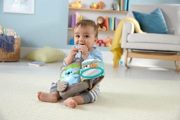 Іграшка Fisher Price Лісові друзі GJD37