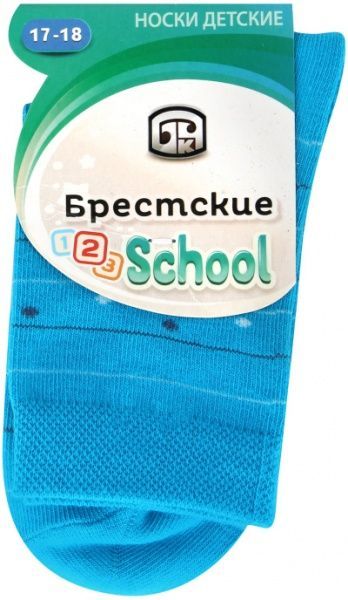 Носки детские Брестские детские 3081 37 р.17-18 бирюзовый 