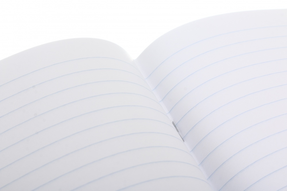 Зошит шкільний 12 аркушів лінія економ 2024 Nota Bene