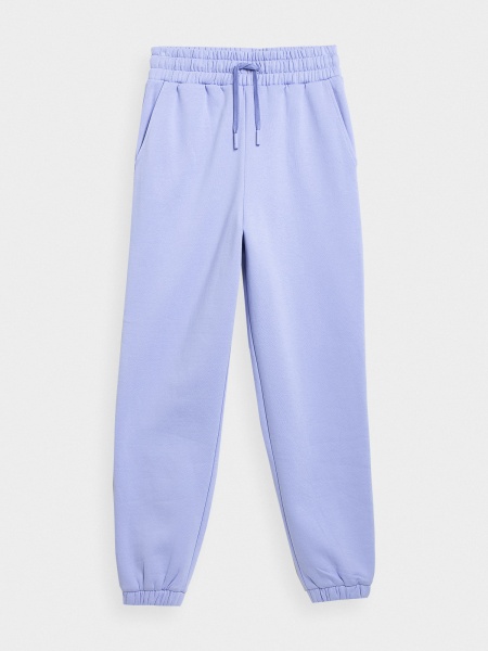 Брюки 4F 4FSS23TTROF148-52S р. XL фиолетовый