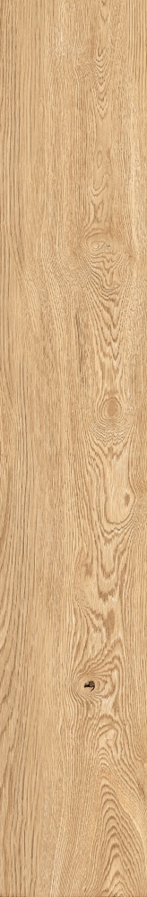 Плитка Allore Group Armario Honey F PR R Mat 19,8x120 см