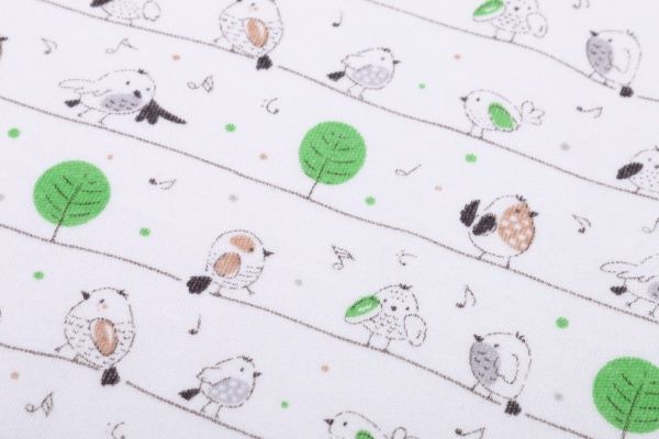 Боди детское унисекс Baby Veres Funy sparrows цельный р.68 молочный 