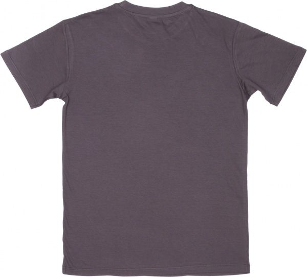 Футболка чоловіча Роза 170201 р. S сірий