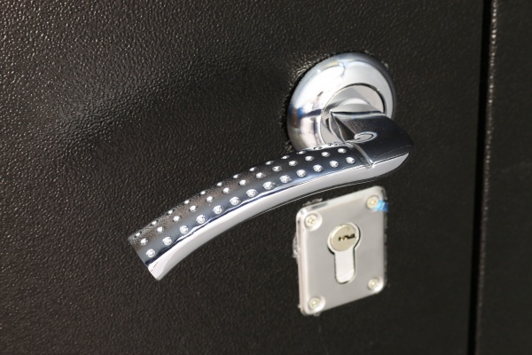 Дверь входная металлические Y1S001C053+P044C271 черный 2050х860 мм левая