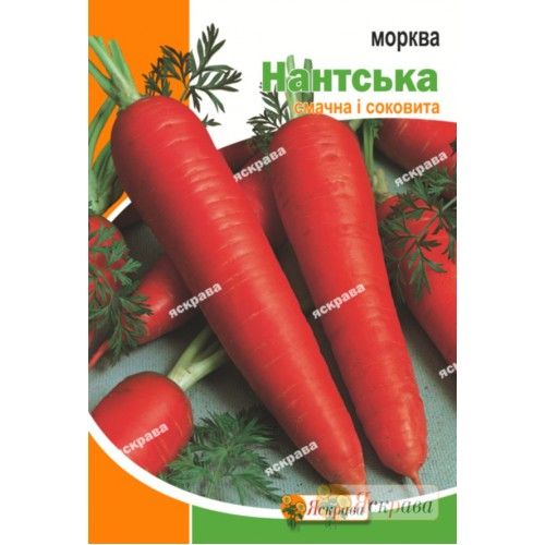 Насіння Яскрава морква Нантська 15г (4823069912284)