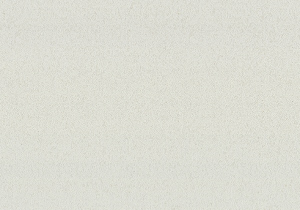 Шпалери вінілові на флізеліновій основі Vinil Амадей ДХV-1244/1 1,06x10,05 м 