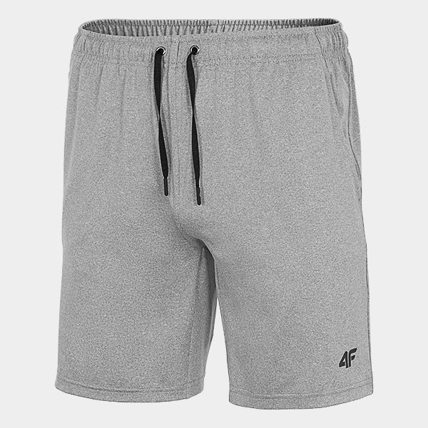 Шорти 4F NOSD4-SKMF301-25M р. L сірий