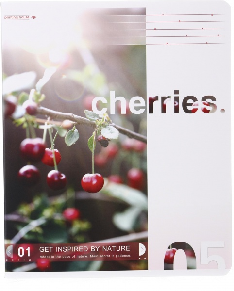 Тетрадь школьная Американская мечта 60 листов в линию Поділля