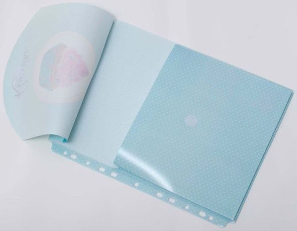 Папка-конверт на липучці з перфорацією А4 Sweet Dreams L6204 LEO