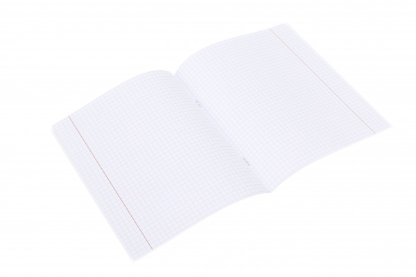 Тетрадь школьная Dinosaur 12 листов клетка Nota Bene