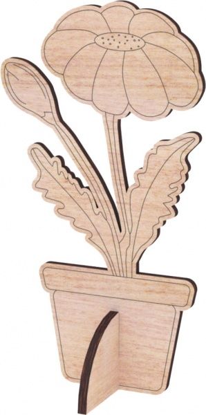 Раскраска Зірка Ромашка