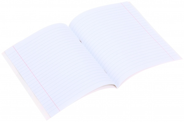 Зошит шкільний з глітером 12 аркушів у лінійку в асортименті Мрії збуваються