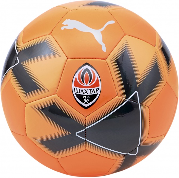 Футбольный мяч Puma FCSD CAGE BALL 8381503 р.5