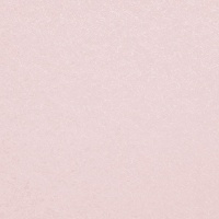 Шпалери вінілові гарячого тиснення ASSORTI тип 773 936AS35 1,06x10,05 м 