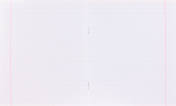 Каліграфічний зошит-шаблон Адаптація руки до письма 12 арк. Школа