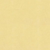 Шпалери Ланіта Ірма СШТ 1-1026 1.06х10.05 м