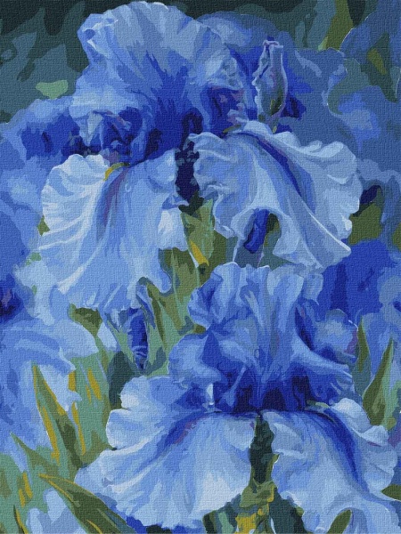 Картина за номерами Блакитні іриси 30х40 см Ідейка 