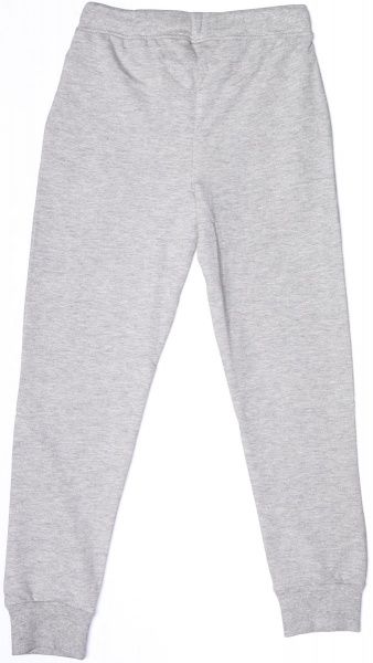 Брюки спортивні LINCOLN&SHARKS 2M3902 р.164 сірий 