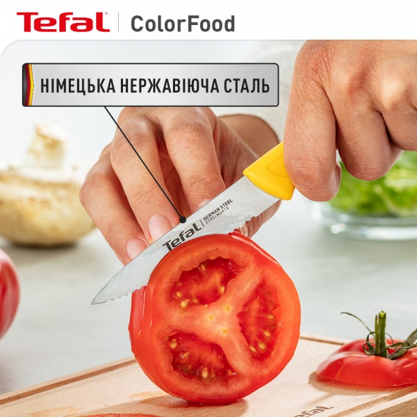 Набор ножей ColorFood 3 предмета K273S304 Tefal