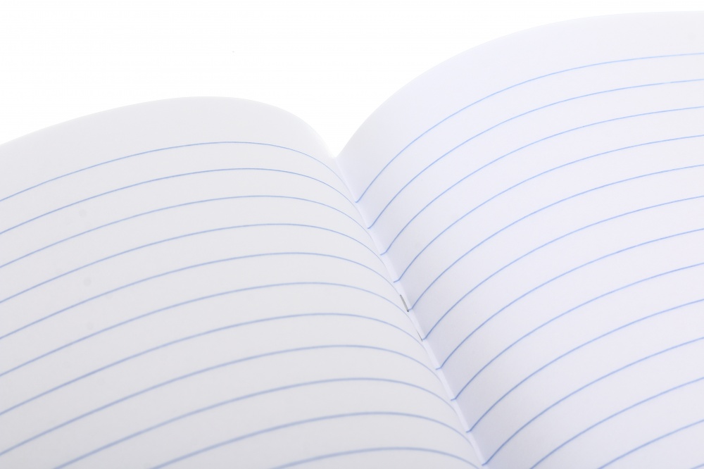 Тетрадь школьная 24 листа линия 2024_2 Nota Bene