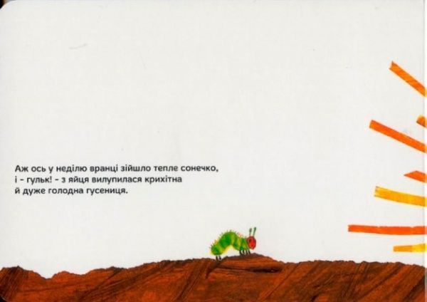 Книга Эрик Карл «Дуже голодна гусениця» 222-229-311-101-3