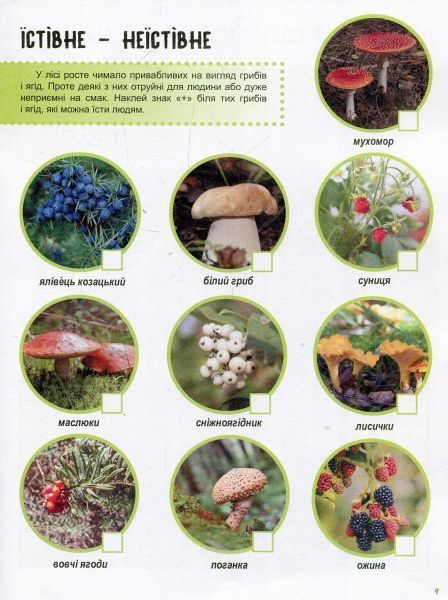 Книга Полулях Н. «Зошит до енциклопедії. Світ і його таємниці: Життя лісу» 978-617-09-4442-9