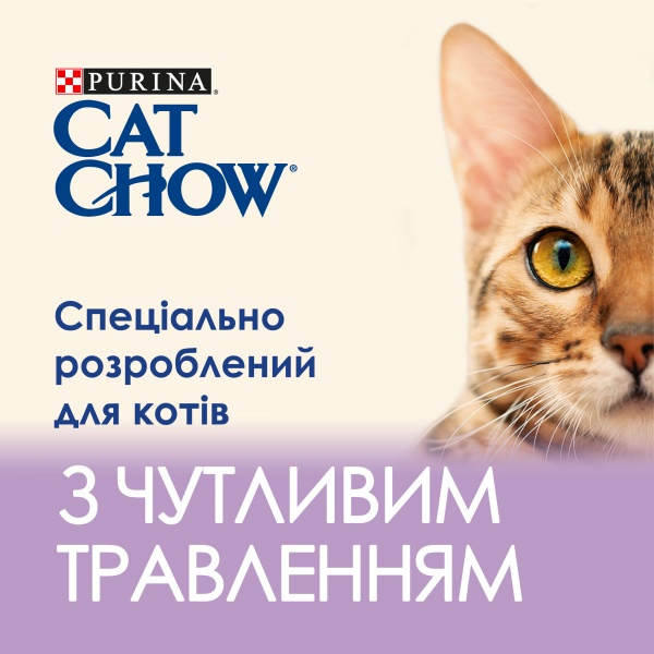Корм для дорослих котів Cat Chow Sensitive вологий з лососем та цукіні в желе 85 г