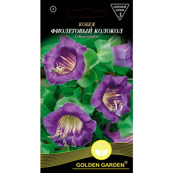 Семена Golden Garden Кобея Фиолетовый колокол (Голден Гарден) (4820164124123) 0.4 г