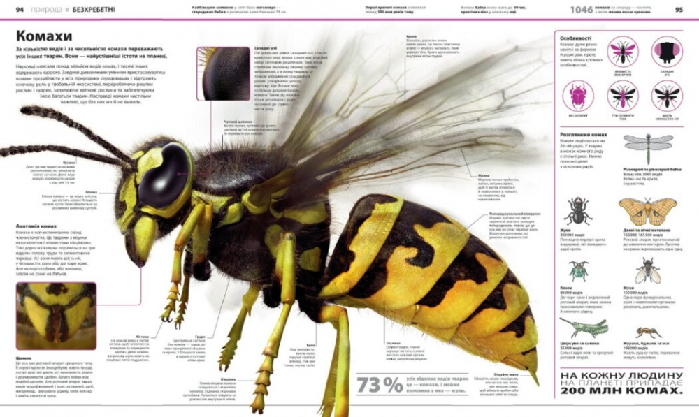 Книга Брайан Ким «Енциклопедія знань» 978-617-09-8945-1