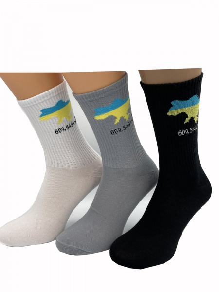 Носки женские Cool Socks Карта Украины 17842 р. 38-42 черный 