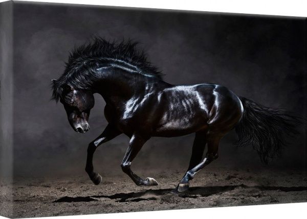 Репродукция Black Horse с эффектом серебра 113x85 см Styler 