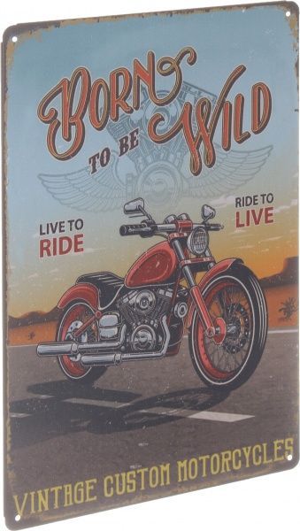 Табличка жестяная печатная Born wild 30x20 см разноцветный 