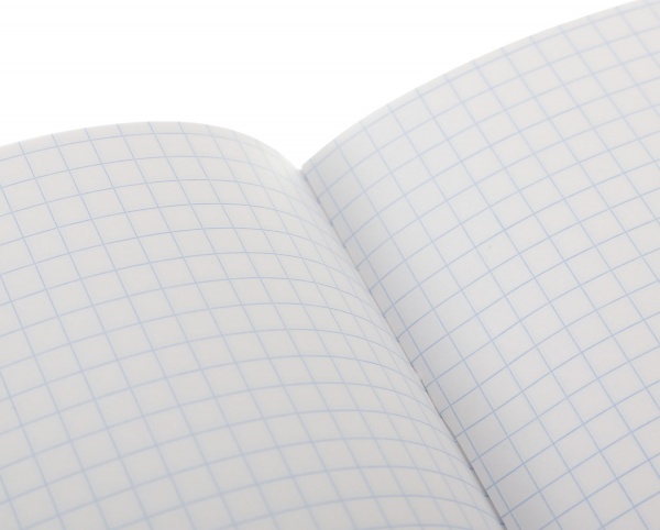 Тетрадь школьная Princess 18 листов в клеточку Мечты сбываются