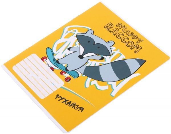 Зошит шкільний Raccoon 12 аркушів лінія