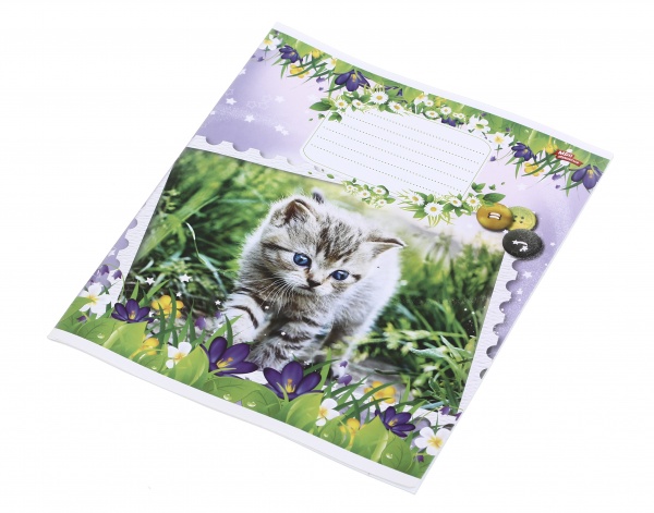 Зошит шкільний 12 аркушів у лінійку дизайн в асортименті Мрії збуваються